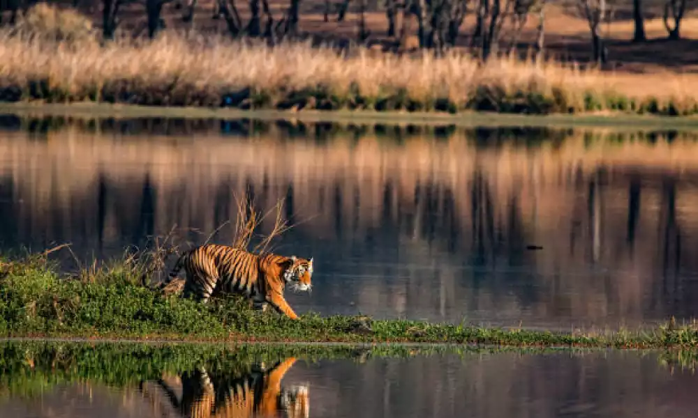 Ranthambore National Park