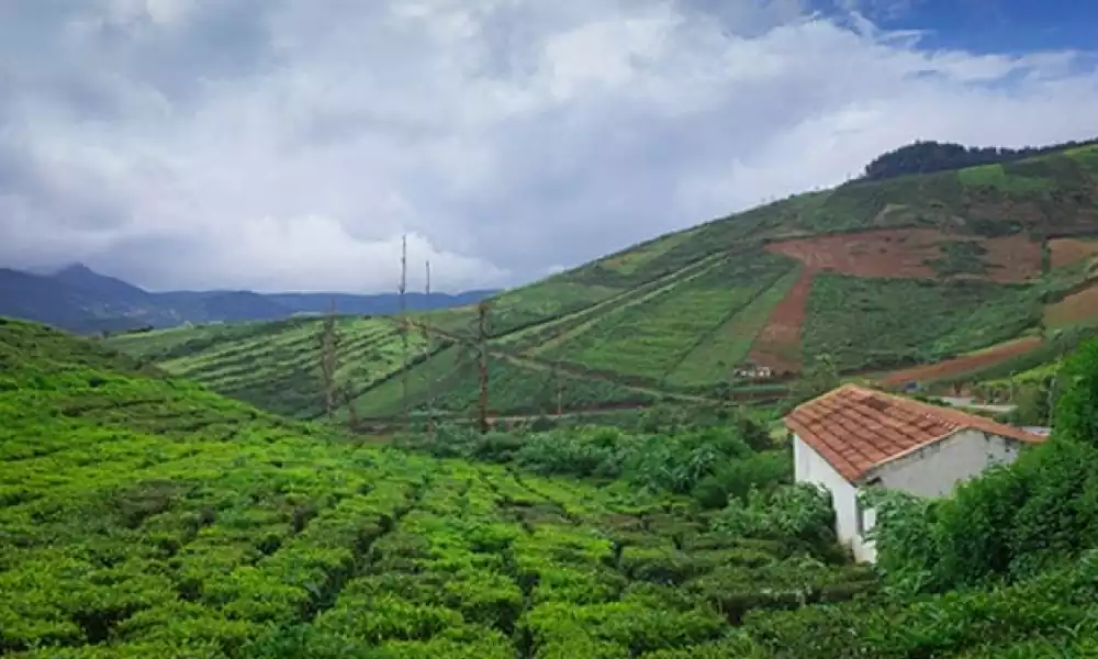coorg